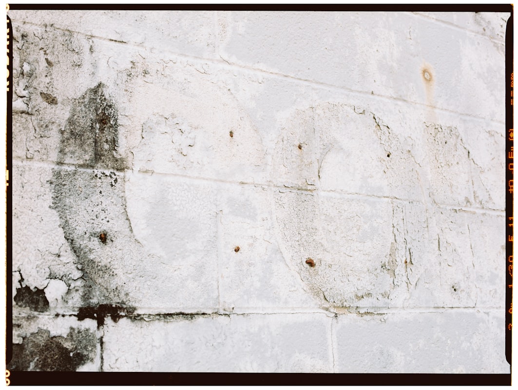 Mold Remediation service in Coral Springs, FL