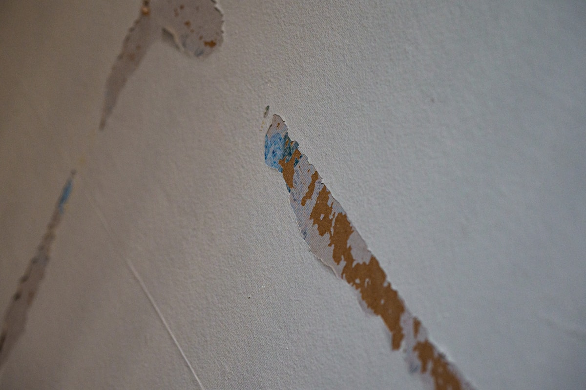 Basement Water Removal service in Coral Springs, FL